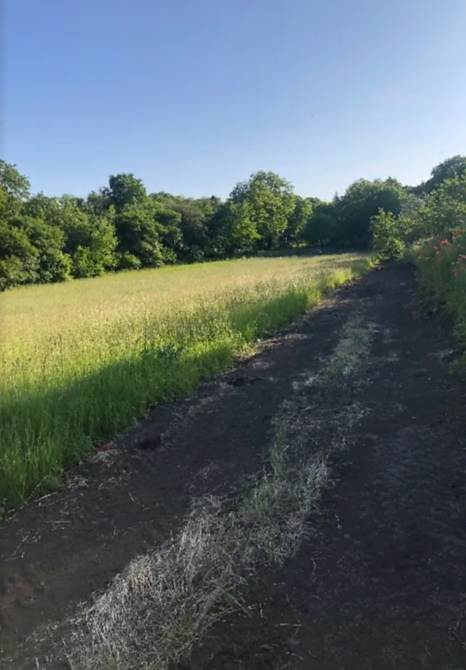 Продаж земельної ділянки 18 соток  - фото 2