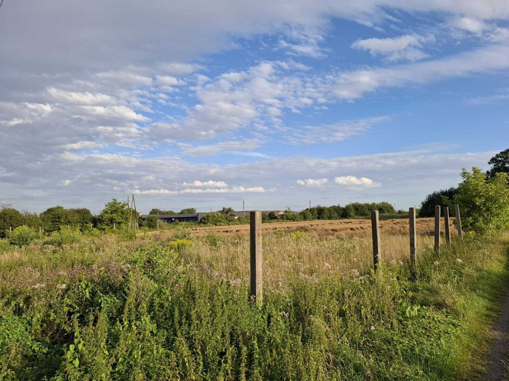 Продаж земельної ділянки 67 соток Ходорів - фото 5