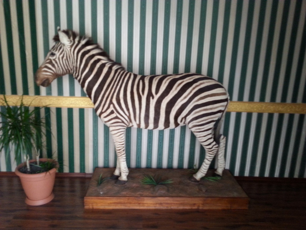 Продам виллу на 12 ст. Б .Фонтана с видом на море Одеса - фото 16