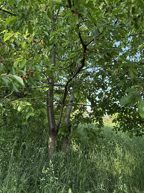 Продаж Квартира на улица Яремчука Navariia - photo 13