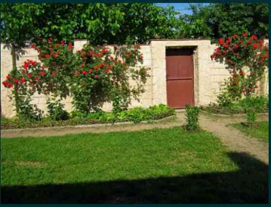 Продаж земельної ділянки 6 соток на Виноградная ул. 