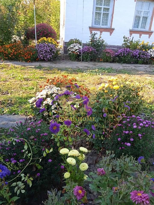 Продам будинок у Житних Горах  - фото 16