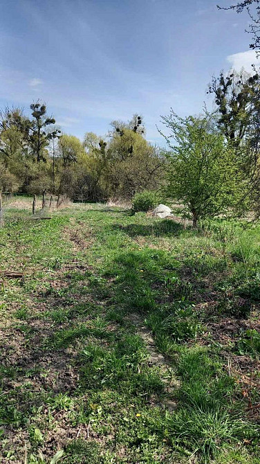 Продаж Будинок 3-кімнатний на вул. Центральна Карпиловка (Ривненський район) - изображение 3