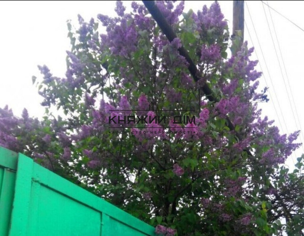 Продаж земельної ділянки 33 соток на Правды просп. Kiev - photo 5