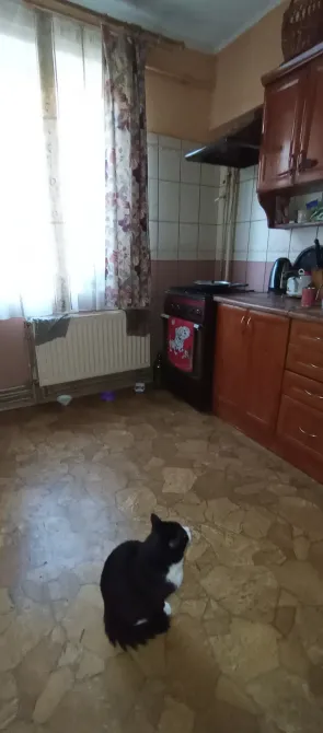 Оренда 2к Кімната 47 кв.м Шухевича 14А Ужгород - фото 3