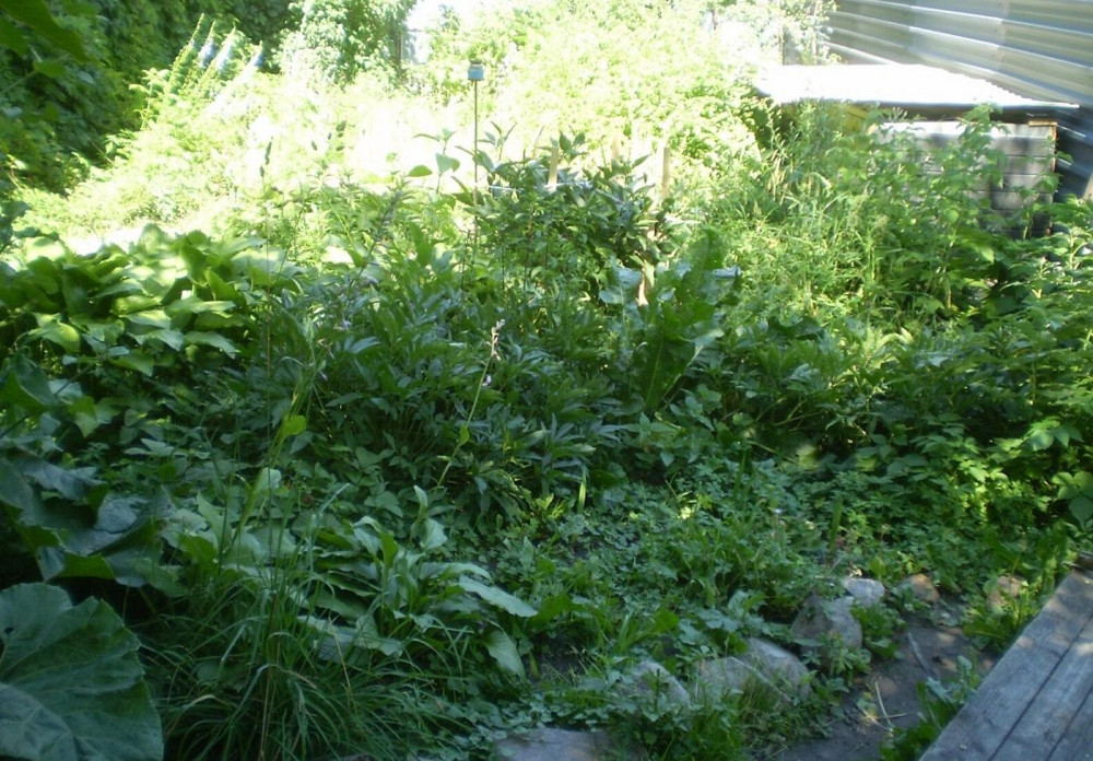 Продаж Квартира 4-кімнатна, 1/1 поверх на вул. Київська Житомир - фото 7