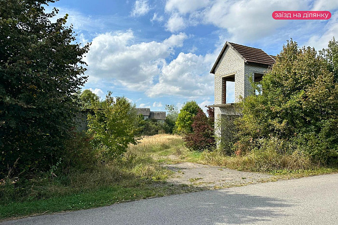 Продаж с/г земельної ділянки Шоломинь - фото 6