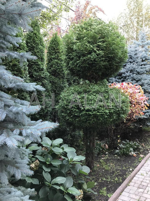 Оренда Будинок 5-кімнатний на Теремківський пров., 1 Київ - фото 13