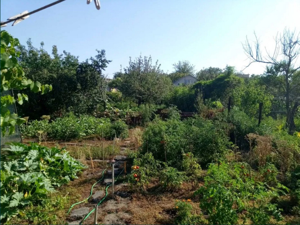 Дом возле Куяльницкого лимана с Одесской пропиской. Одеса - фото 2