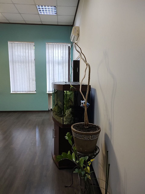 Продаж комерційне приміщення на ул. Пастера, 24 приміщень - 3, поверх - 1 Одеса - фото 3