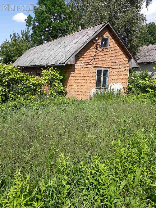 Продаж Будинок 3-кімнатний Zaliztsi - photo 4