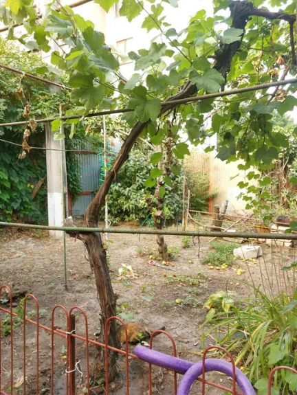 Продам квартиру на земле  (пол дома) в центре Одессы (ул.Пироговская) Одесса - изображение 11