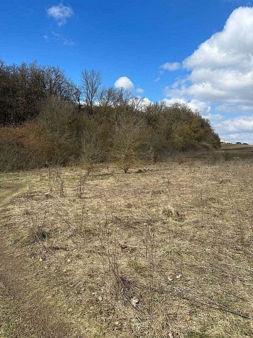 Продаж земельної ділянки 12 соток Байківці - фото 1