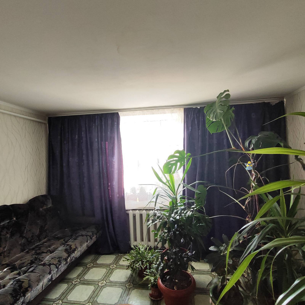 Продаётся дом в с. Нерубайском на две семьи. Нерубайське - фото 5