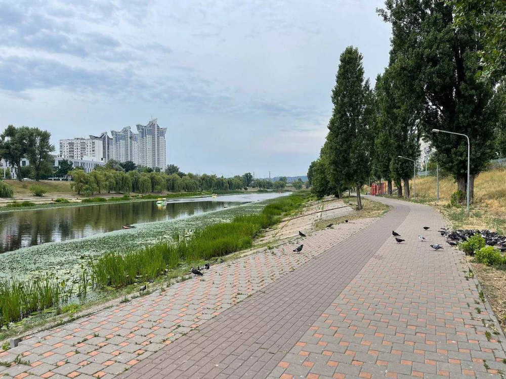 Оренда Квартира 1-кімнатна, 13/16 поверх на Шамо, 10 Kiev - photo 3