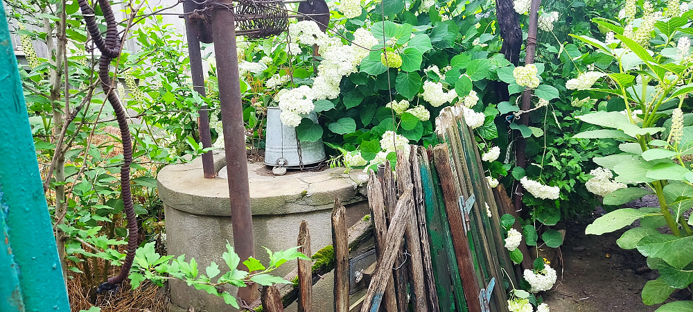 Продается дом с. Маяки. Маяки (Біляївський район) - фото 10