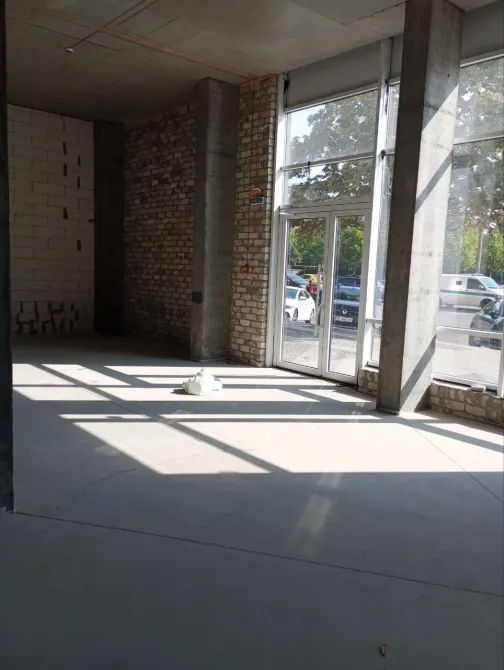 Здається Приміщення в житловому будинку площа 210 кв.м 1-й поверх Дніпро  Дніпро - фото 14