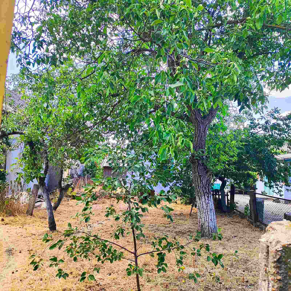 Продаётся небольшой,одноэтажный  дом в с. Дачное. Dachne - photo 7