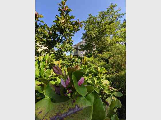 Продаж 2-поверховий Будинок  457 кв.м 7+ кімн. на вул. Митницька, Cherkasy