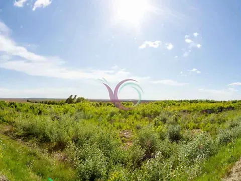 Продаж земельної ділянки  площа 6600 сот   - фото 1