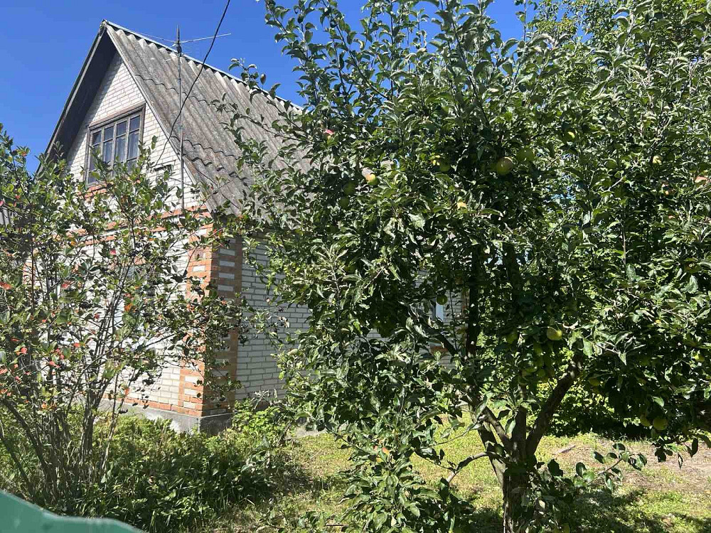 Продаж Будинок на Рибаче  - photo 7