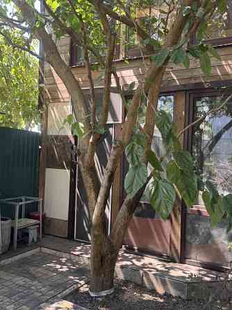 Продам квартиру на земле в Черноморке Одесса