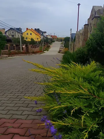 Продажа земельного участка  площадь 17 сот Злагоди вулиця 1  - изображение 11