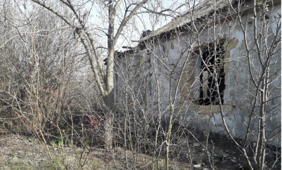 Участок с домом около Нати Нерубайське