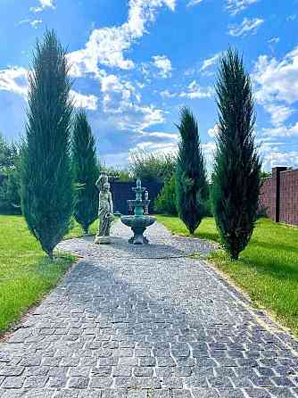 Продаж Будинок на Самарська Новоселовка (Покровський район)