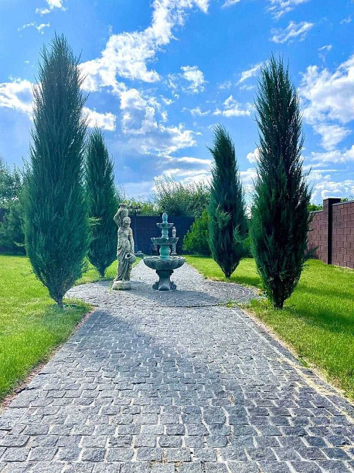 Продаж Будинок на Самарська Новоселовка (Покровський район) - изображение 5