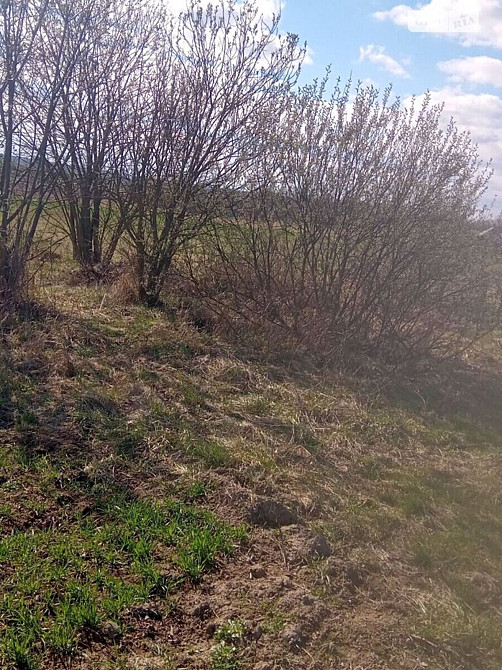 Продаж земельної ділянки 16 соток на Хмельницьке шосе Вінниця - фото 2