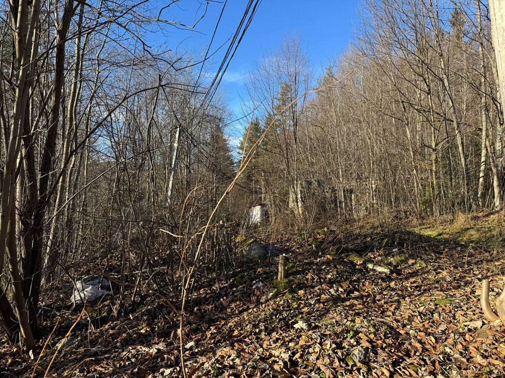 Продаж земельної ділянки 24 соток на Свободі Yaremche - photo 4