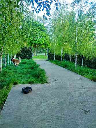 Продам новый дом  в близи моря и леса в пригороде Одессы Ліски (Комінтернівський район)