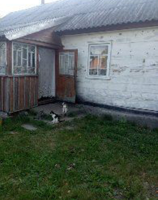 Продаж 1-поверховий Будинок з ділянкою 35 сот 65 кв.м 3 кімн. на Левків Zhytomyr - photo 3