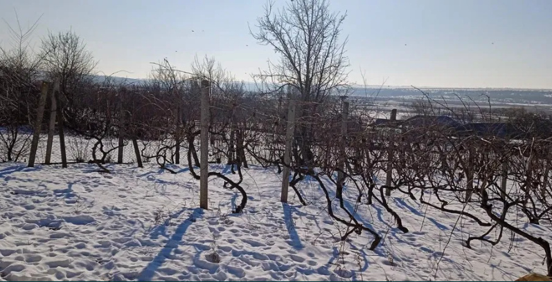 Продам дом в с.Зализничном (Болградский р-н) Залізничне (Болградський район) - фото 17