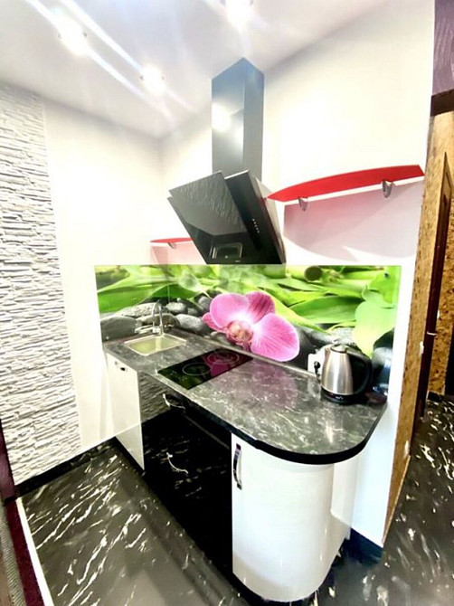 Оренда Квартира 1-кімнатна, 2/3 поверх на Сирецько-Садова, 5 Київ - фото 4