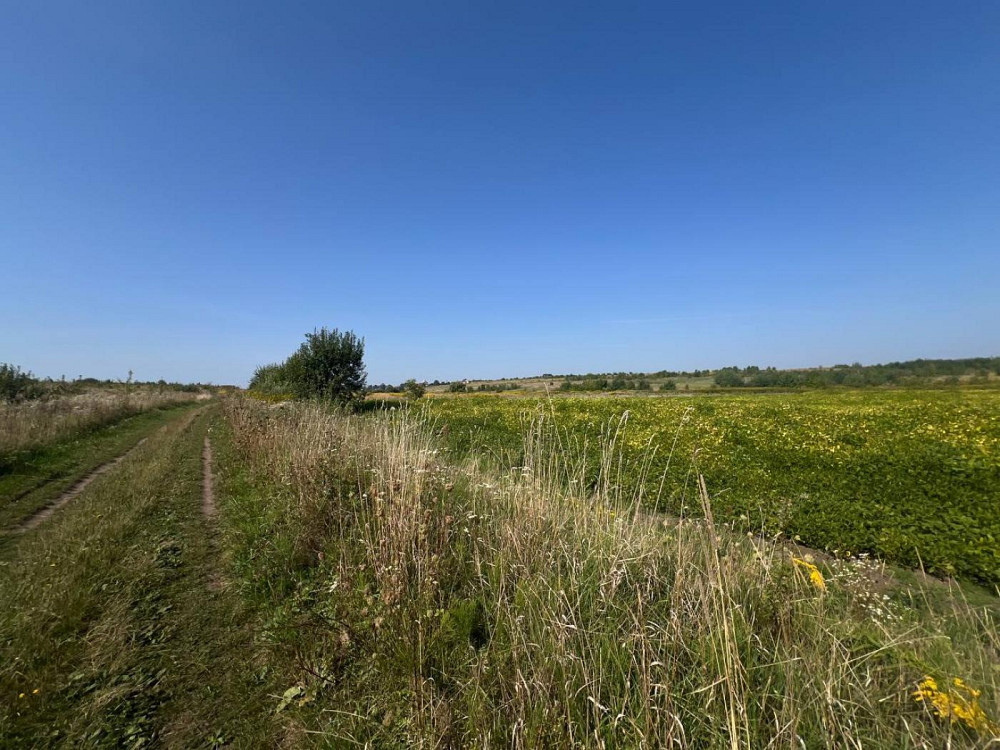 Продаж земельної ділянки 12 соток Судова Вишня - фото 2