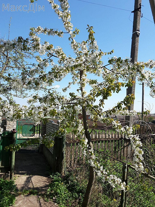 Оренда Будинок на вул. Львівська Ternopil' - photo 1