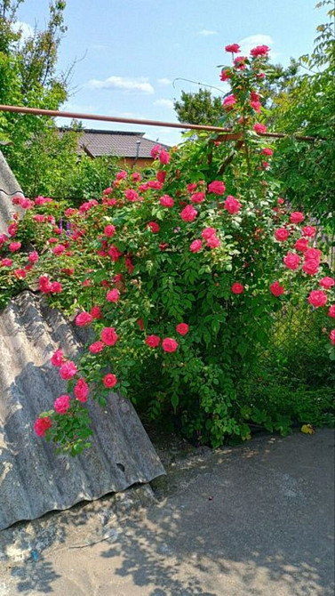 Будинок 3-кімнатний, 56 м. Кропивницкий - изображение 15