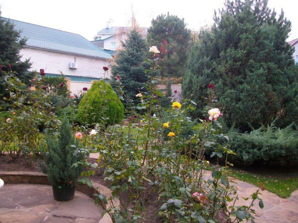 Продаж Будинок Odessa - photo 5