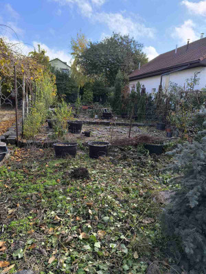 Продаж земельної ділянки 0.1 соток на ул. Абрикосовая, 37 Одесса - изображение 16