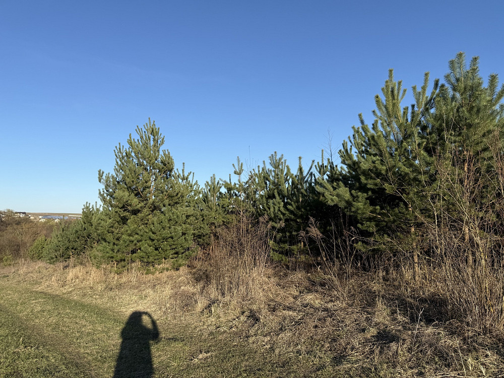 Продаж земельної ділянки 9 соток на вул. Тиха Байківці - фото 5