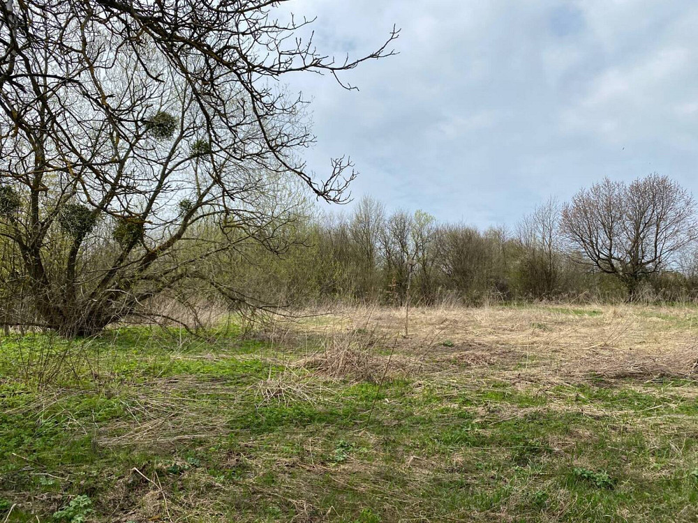 Продаж земельної ділянки 9.36 соток на вул. Глінки Кременець - фото 3