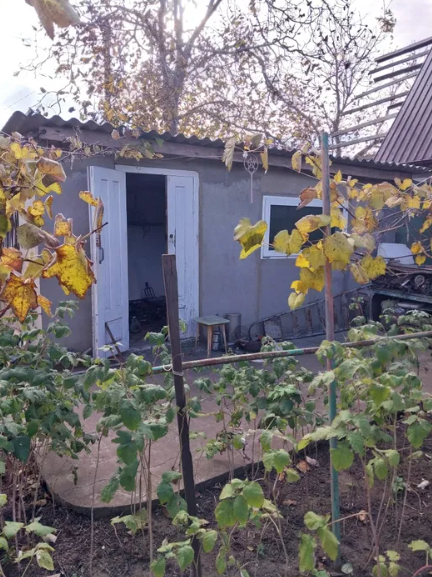 Продам зимний дом с газом в Светлом (Старые Дачи, 5 км от Одессы) Світле - фото 7