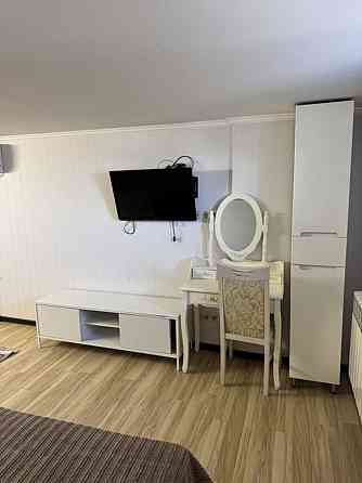 Оренда Квартира 1-кімнатна, 21/21 поверх на Івани Гонти, 7 Киев