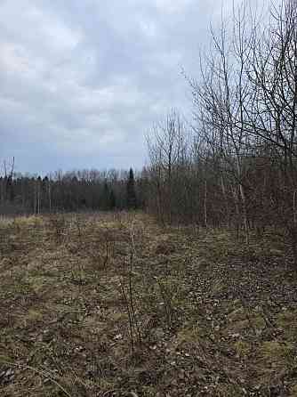 Продаж земельної ділянки 30 соток на Монастирська Посіч