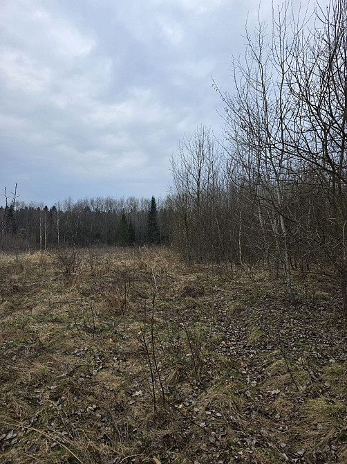 Продаж земельної ділянки 30 соток на Монастирська Посіч - фото 6