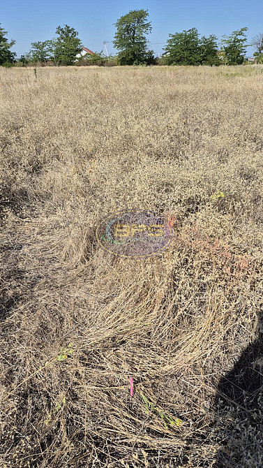 Продаж земельної ділянки 3.64 га Прилиманське - фото 8