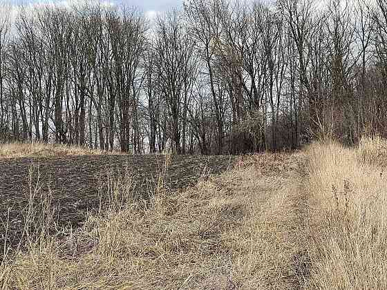 Продаж ділянки с. Підгородне Подгородное