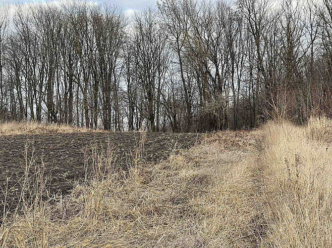 Продаж ділянки с. Підгородне Подгородное - изображение 1